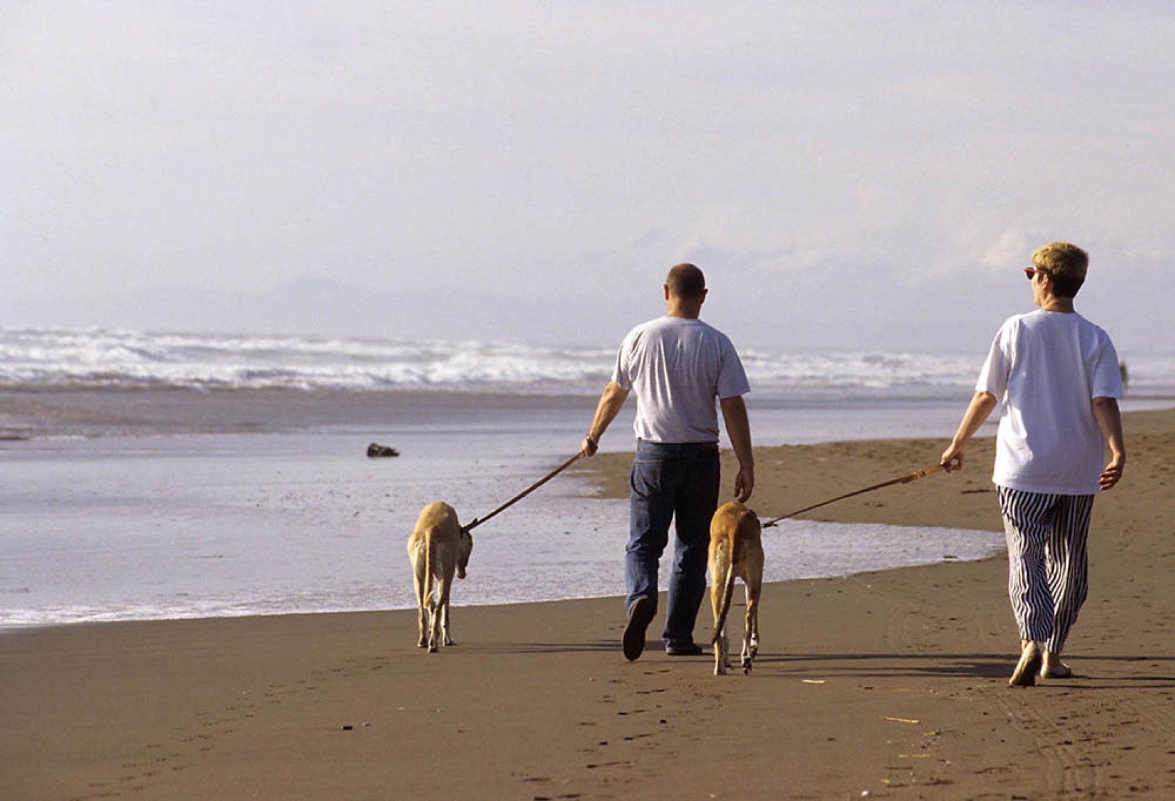 Marina di Castagneto: una coppia passeggia con i cani in spiaggia, dog beach della Costa degli Etruschi