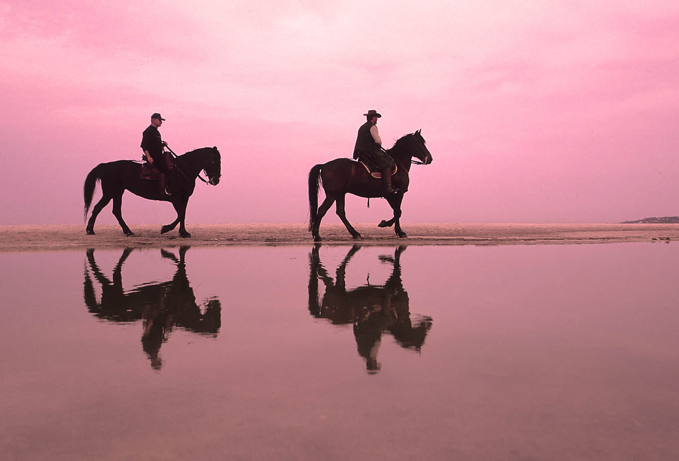 Cavalieri a cavallo sulla spiaggia al tramonto rosato, con i riflessi sull'acqua — Spiagge Bianche di Rosignano sulla Costa degli Etruschi
